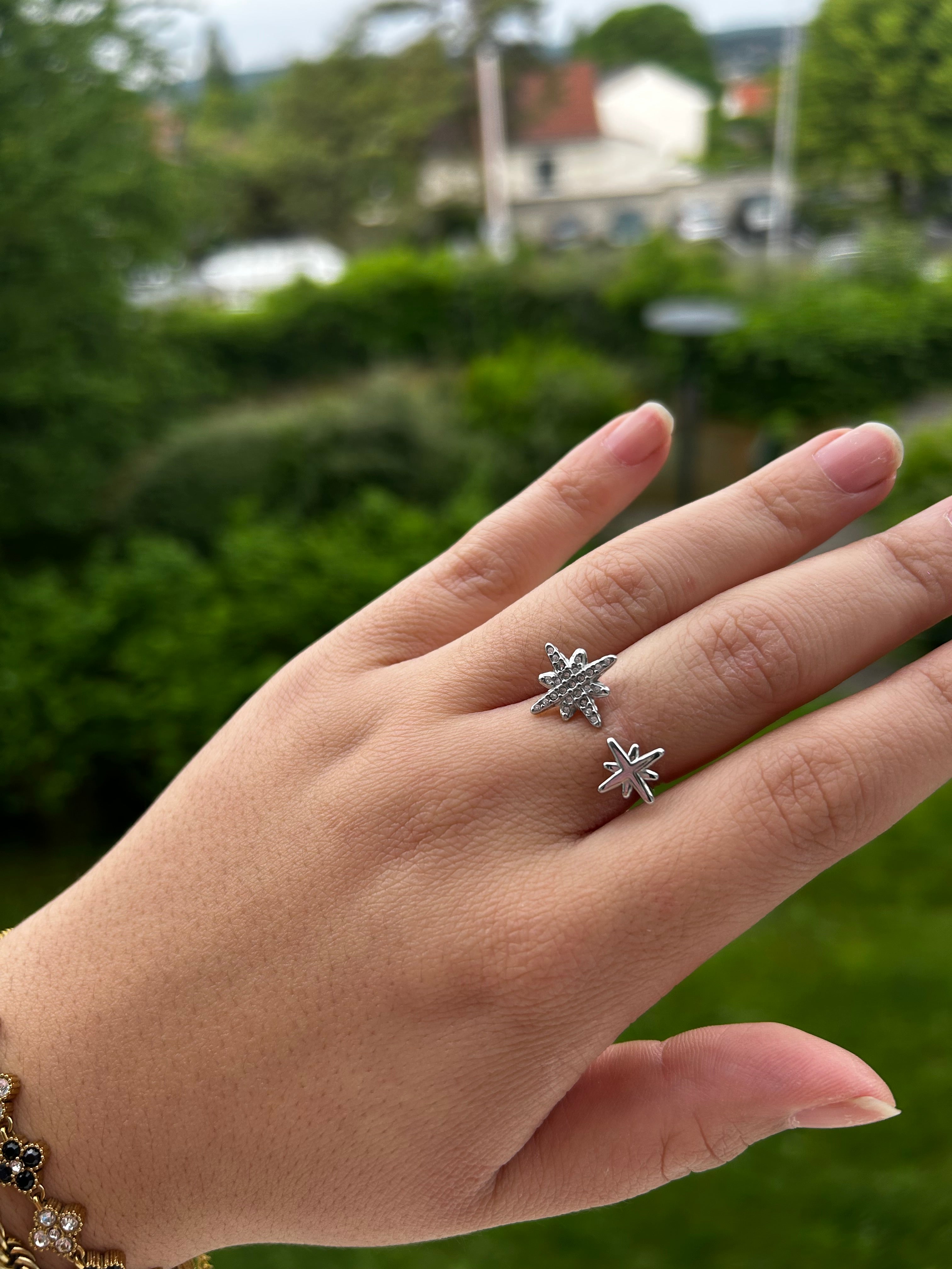 Bague monaco argent
